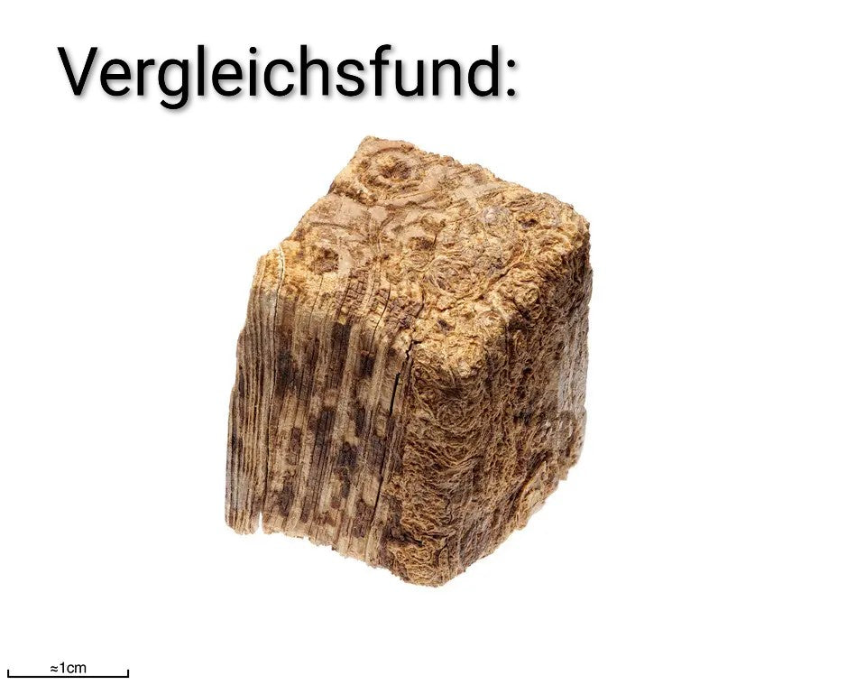 Knochenwürfel – (Einzelabgabe)